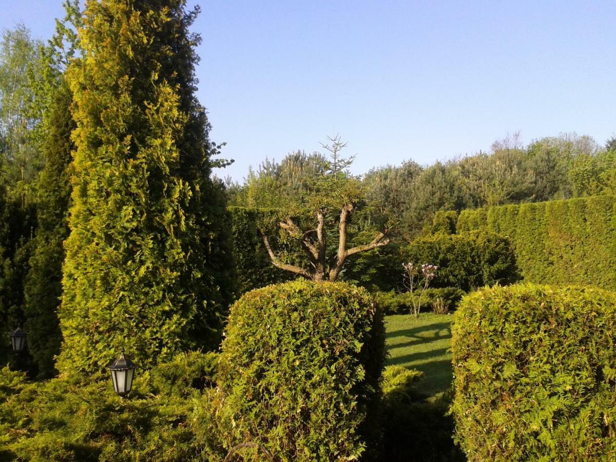 Villa Dom Na Skarpie Wierzbica  Exterior foto