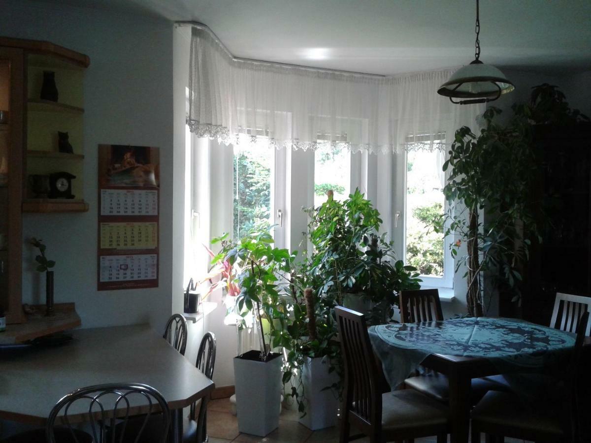 Villa Dom Na Skarpie Wierzbica  Exterior foto